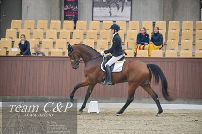 Blue Hors
1. kvl 4års heste dressur
Nøgleord: lohmanns sagoson;anders uve sjøbeck hoeck