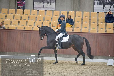 Blue Hors
1. kvl 4års heste dressur
Nøgleord: freddie mercury;eric guardia marrtinez