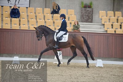 Blue Hors
1. kvl 4års heste dressur
Nøgleord: vento;tania m joensen
