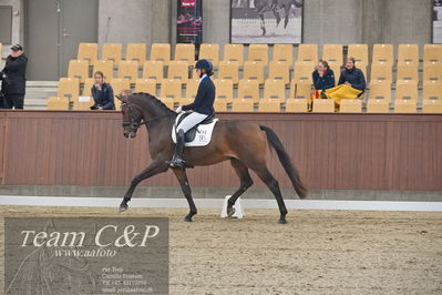 Blue Hors
1. kvl 4års heste dressur
Nøgleord: vento;tania m joensen