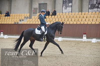 Blue Hors
1. kvl 4års heste dressur
Nøgleord: freddie mercury;eric guardia marrtinez