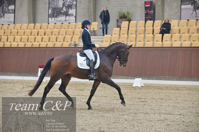 Blue Hors
1. kvl 4års heste dressur
Nøgleord: vento;tania m joensen