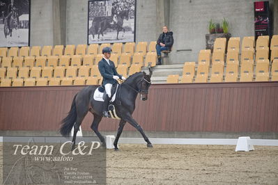 Blue Hors
1. kvl 4års heste dressur
Nøgleord: freddie mercury;eric guardia marrtinez