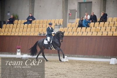 Blue Hors
1. kvl 4års heste dressur
Nøgleord: freddie mercury;eric guardia marrtinez