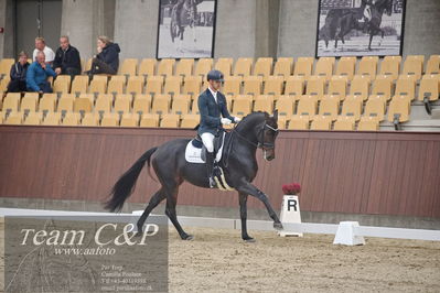 Blue Hors
1. kvl 4års heste dressur
Nøgleord: freddie mercury;eric guardia marrtinez