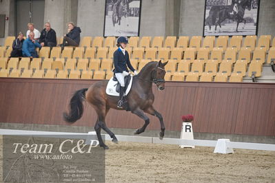 Blue Hors
1. kvl 4års heste dressur
Nøgleord: vento;tania m joensen