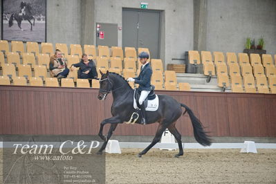 Blue Hors
1. kvl 4års heste dressur
Nøgleord: freddie mercury;eric guardia marrtinez