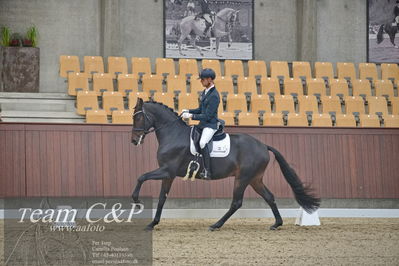 Blue Hors
1. kvl 4års heste dressur
Nøgleord: freddie mercury;eric guardia marrtinez