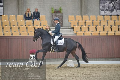 Blue Hors
1. kvl 4års heste dressur
Nøgleord: freddie mercury;eric guardia marrtinez