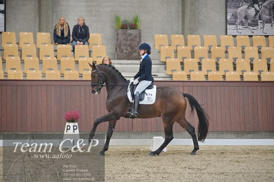 Blue Hors
1. kvl 4års heste dressur
Nøgleord: vento;tania m joensen