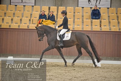 Blue Hors
1. kvl 4års heste dressur
Nøgleord: atterupgaards damaskus;selina solberg vittinghus