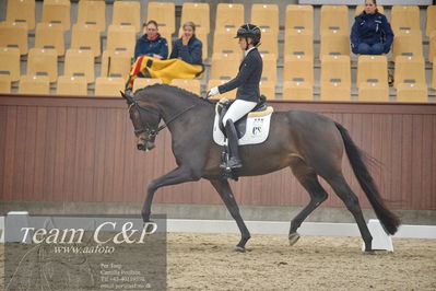 Blue Hors
1. kvl 4års heste dressur
