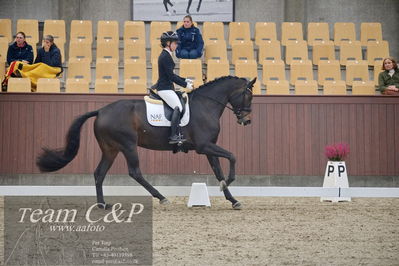 Blue Hors
1. kvl 4års heste dressur
Nøgleord: atterupgaards damaskus;selina solberg vittinghus