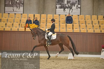 Blue Hors
1. kvl 4års heste dressur
Nøgleord: mette sejbjerg jensen;faretti dwb