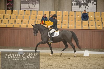 Blue Hors
1. kvl 4års heste dressur
Nøgleord: st solution-;silje bakken