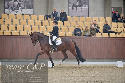 Blue Hors
1. kvl 4års heste dressur
Nøgleord: mette sejbjerg jensen;faretti dwb