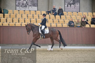 Blue Hors
1. kvl 4års heste dressur
Nøgleord: mette sejbjerg jensen;faretti dwb