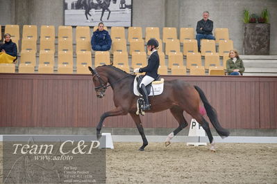 Blue Hors
1. kvl 4års heste dressur
Nøgleord: mette sejbjerg jensen;faretti dwb
