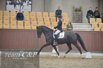 Blue Hors
1. kvl 4års heste dressur
Nøgleord: st solution-;silje bakken