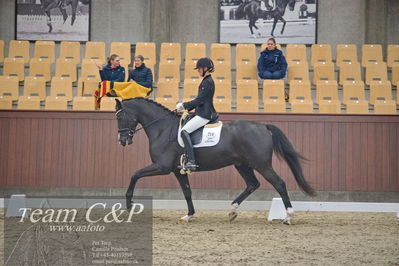 Blue Hors
1. kvl 4års heste dressur
Nøgleord: st solution-;silje bakken