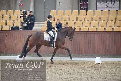 Blue Hors
1. kvl 4års heste dressur
Nøgleord: mette sejbjerg jensen;faretti dwb