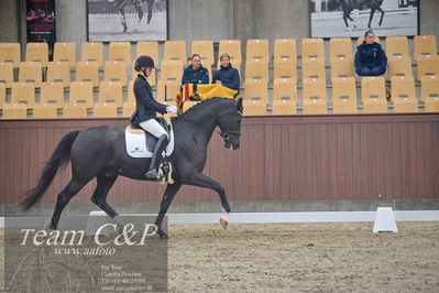 Blue Hors
1. kvl 4års heste dressur
Nøgleord: st solution-;silje bakken