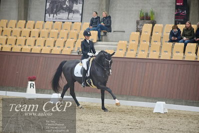 Blue Hors
1. kvl 4års heste dressur
Nøgleord: st solution-;silje bakken