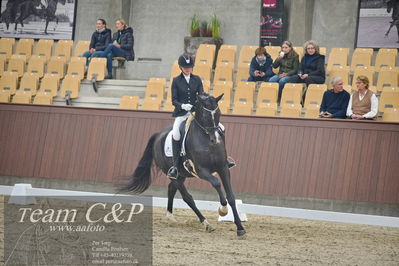 Blue Hors
1. kvl 4års heste dressur
Nøgleord: st solution-;silje bakken