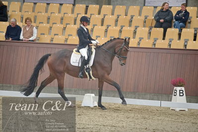 Blue Hors
1. kvl 4års heste dressur
Nøgleord: mette sejbjerg jensen;faretti dwb