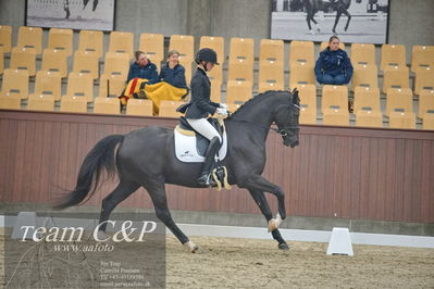 Blue Hors
1. kvl 4års heste dressur
Nøgleord: st solution-;silje bakken