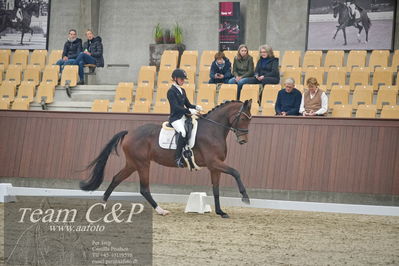 Blue Hors
1. kvl 4års heste dressur
Nøgleord: mette sejbjerg jensen;faretti dwb
