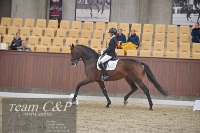 Blue Hors
1. kvl 4års heste dressur
