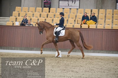 Blue Hors
1. kvl 4års heste dressur
Nøgleord: hp viva gold;maria falkner hansen