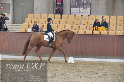 Blue Hors
1. kvl 4års heste dressur
Nøgleord: hp viva gold;maria falkner hansen