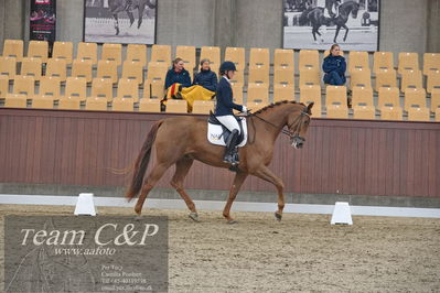 Blue Hors
1. kvl 4års heste dressur
Nøgleord: hp viva gold;maria falkner hansen
