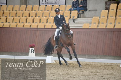 Blue Hors
1. kvl 4års heste dressur
Nøgleord: rockabye s;anne-mette strandby hansen