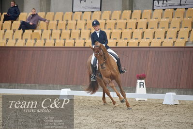 Blue Hors
1. kvl 4års heste dressur
Nøgleord: hp viva gold;maria falkner hansen
