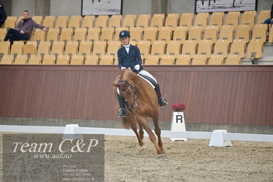 Blue Hors
1. kvl 4års heste dressur
Nøgleord: hp viva gold;maria falkner hansen
