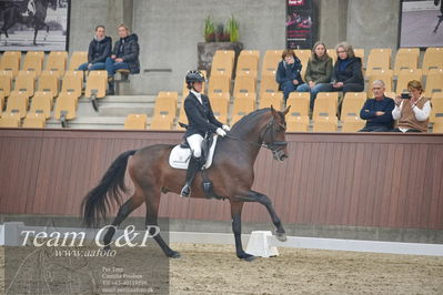 Blue Hors
1. kvl 4års heste dressur
Nøgleord: rockabye s;anne-mette strandby hansen
