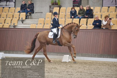 Blue Hors
1. kvl 4års heste dressur
Nøgleord: hp viva gold;maria falkner hansen