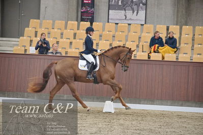 Blue Hors
1. kvl 4års heste dressur
Nøgleord: hp viva gold;maria falkner hansen