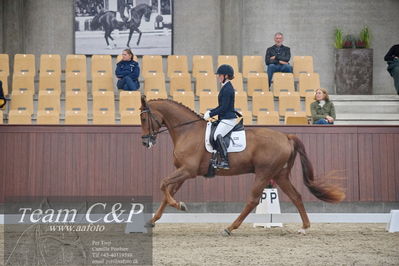 Blue Hors
1. kvl 4års heste dressur
Nøgleord: hp viva gold;maria falkner hansen
