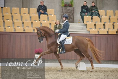 Blue Hors
1. kvl 4års heste dressur
Nøgleord: sir floresco;moises jover azuar