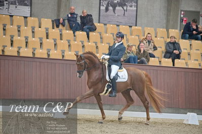Blue Hors
1. kvl 4års heste dressur
Nøgleord: sir floresco;moises jover azuar