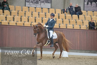 Blue Hors
1. kvl 4års heste dressur
Nøgleord: sir floresco;moises jover azuar