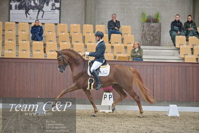 Blue Hors
1. kvl 4års heste dressur
Nøgleord: sir floresco;moises jover azuar