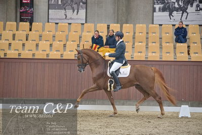 Blue Hors
1. kvl 4års heste dressur
Nøgleord: sir floresco;moises jover azuar