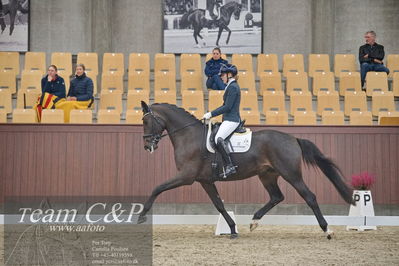 Blue Hors
1. kvl 4års heste dressur
Nøgleord: fun amour;merita hagren