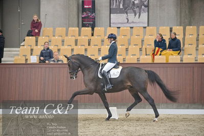 Blue Hors
1. kvl 4års heste dressur
Nøgleord: fun amour;merita hagren