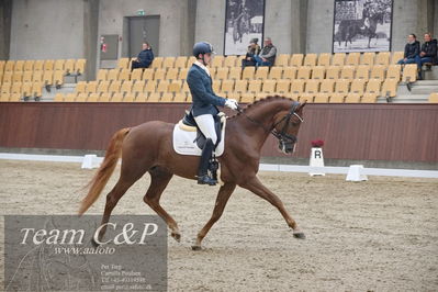 Blue Hors
1. kvl 4års heste dressur
Nøgleord: sir floresco;moises jover azuar